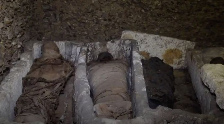 Mummies Discovered Story