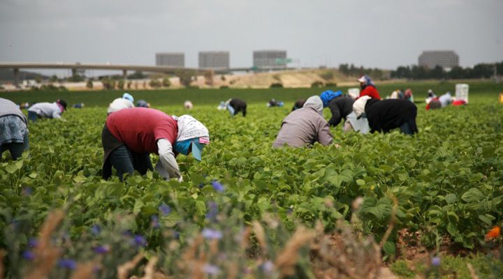 U.S.-Mexico Border Story